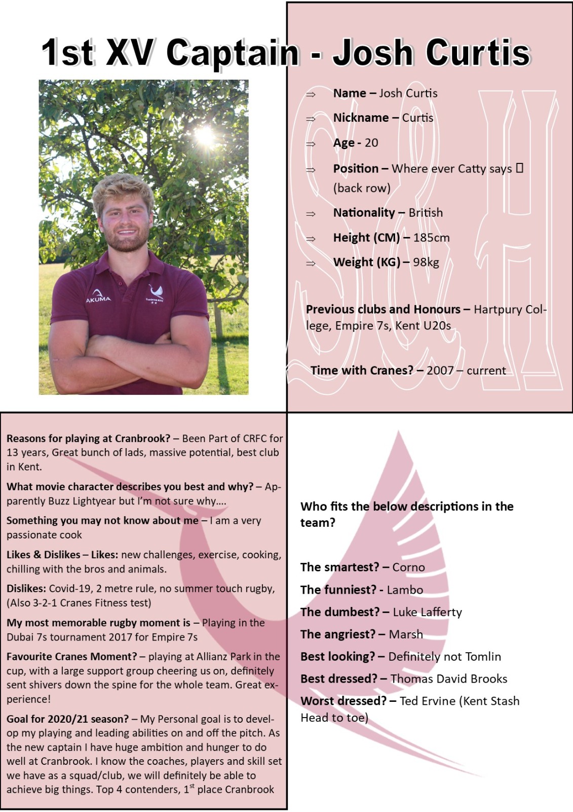 Player Profiles